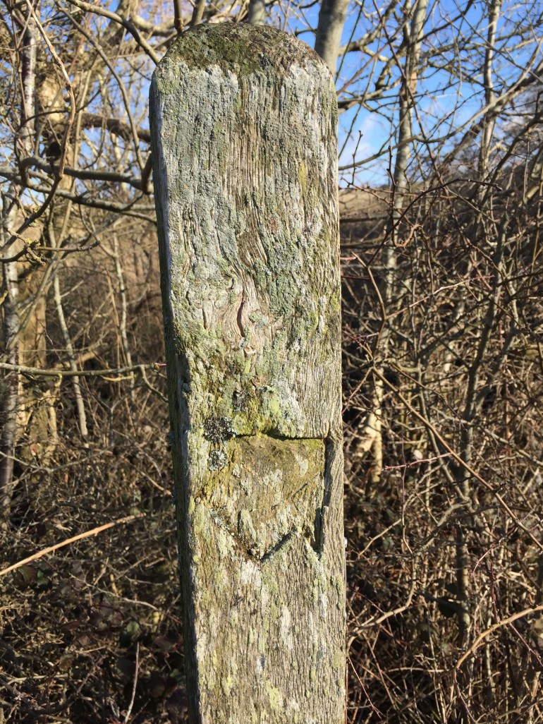 Lewes footpath marker in england