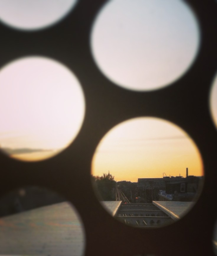 Slow Down. Notice More