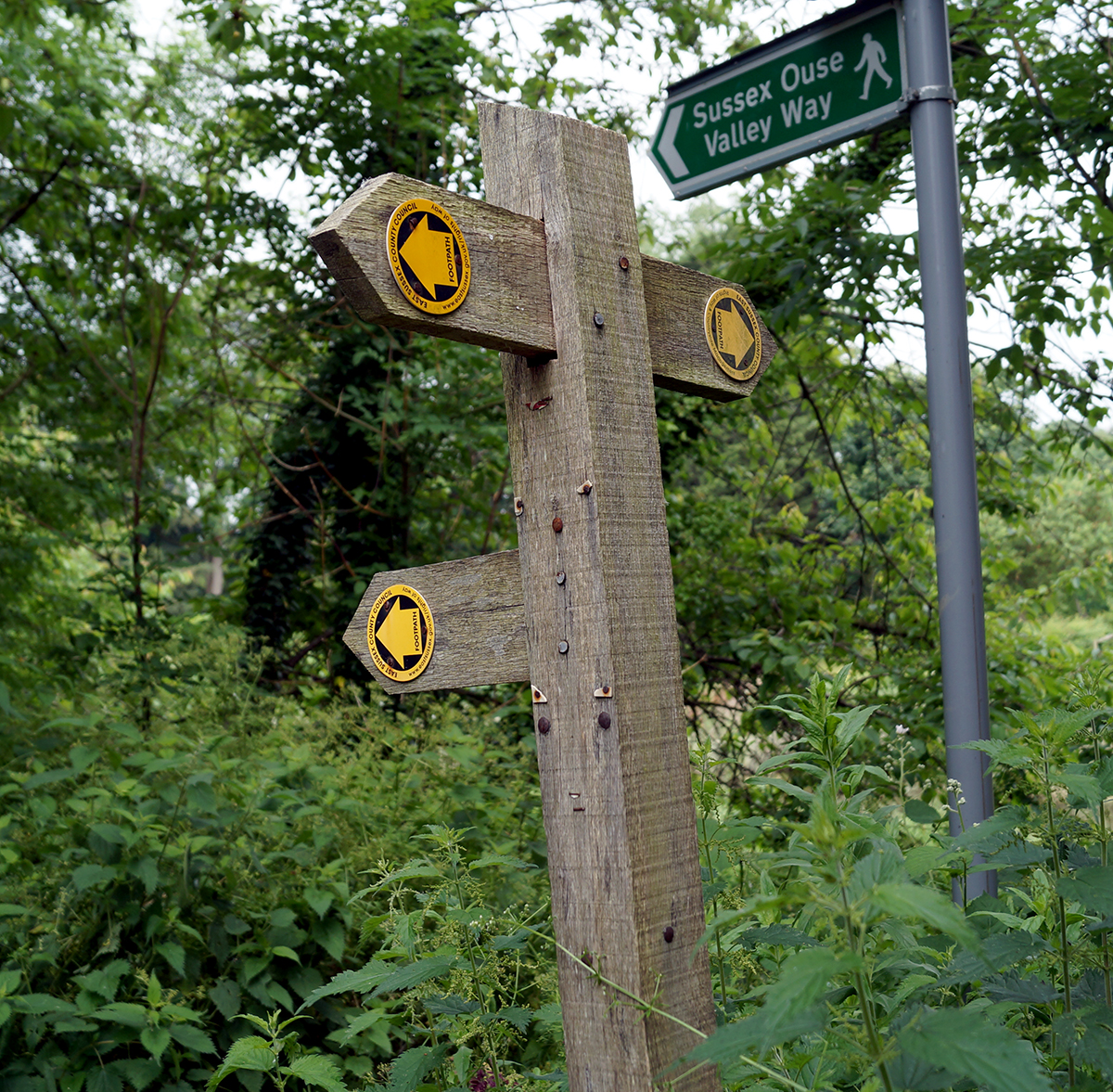 Sussex Ouse Valley Way footpath toward Old Hamsey Church in East Sussex