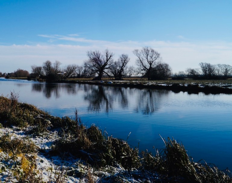 Bird-flying-along-River-Ouse
